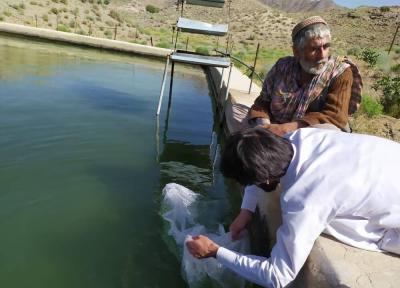 خبرنگاران بیش از یک میلیون و 700 هزار لارو ماهی در ایرانشهر رها سازی شد