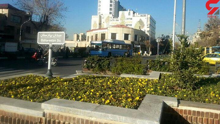 سازمان زیباسازی شهر تهران برای بهار 1400 برنامه دارد سازمان زیباسازی شهر تهران برای بهار 1400 برنامه دارد