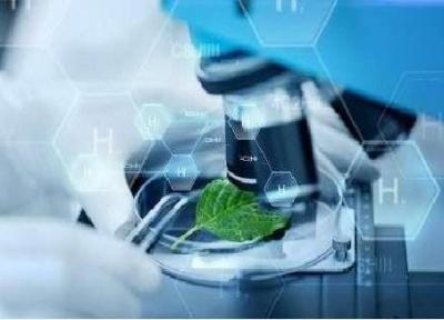 اعطای تسهیلات کم بهره به محصولات فناورانه دارای کارفرما