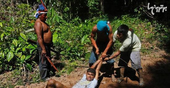 بومی ها چوب برهای غیرقانونی را دستگیر می کنند
