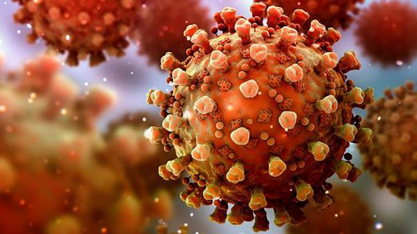 تور فرانسه ارزان: وحشت از جدیدترین ویروس کرونا ! ، این بار از فرانسه پخش می گردد